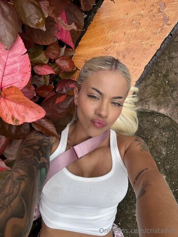 Waifu Cristal / cristalhill nude photo #12