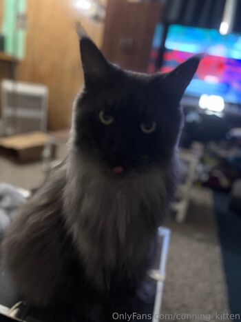 Cunning Kitte / cunning_kitten nude photo #2