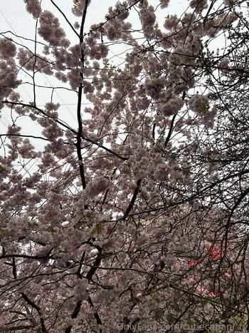 Eliza Caban / cutiecabani nude photo #39