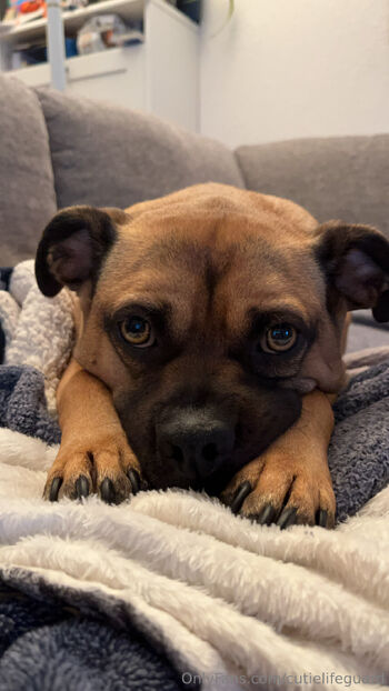 cutielifeguard (FREE / cutielifeguard nude photo #8