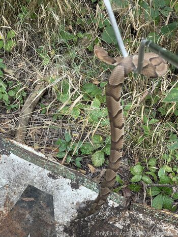 Kat / daddyslittlegirl666 nude photo #2