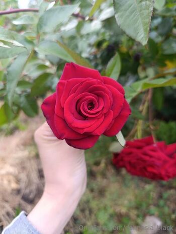 Dahnesia Blac / dahnesia_black nude photo #4