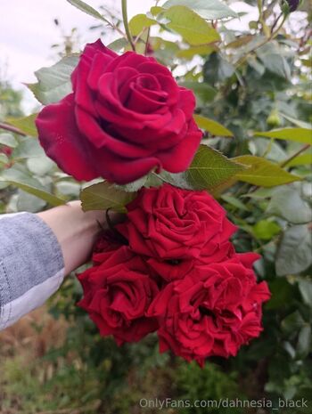 Dahnesia Blac / dahnesia_black nude photo #5