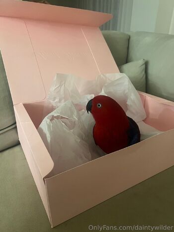 Dainty Wilde / daintywilder nude photo #110