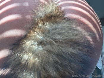 SNEAKY STUDENT / daisea4free / nawdeee nude photo #9