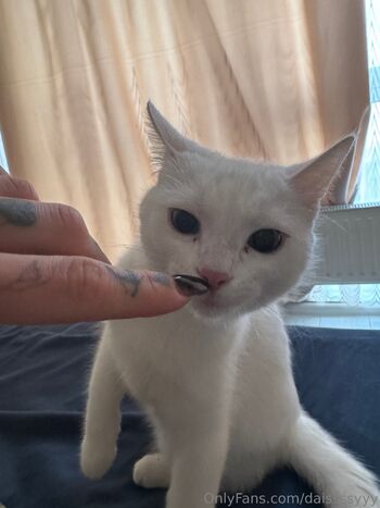 Dais / daissssyyy nude photo #12