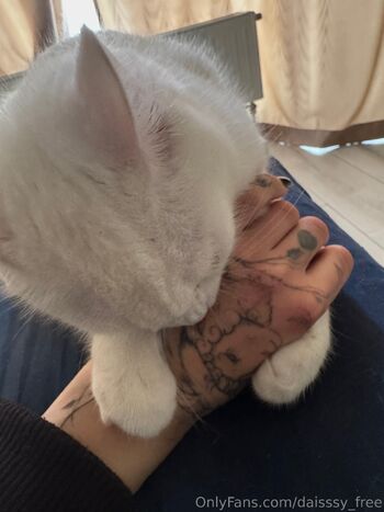 Dais / daisssy_free nude photo #2