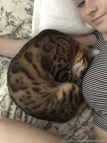 Daphne Daniel / daphnedaniels1 nude photo #12