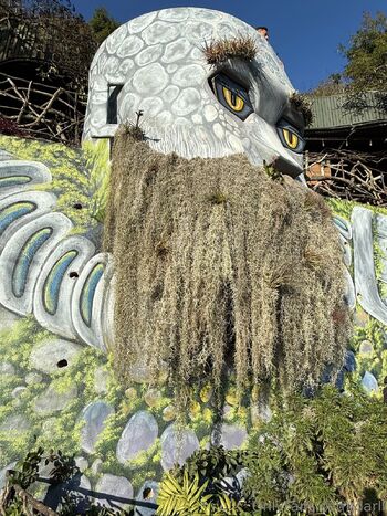 Darl / darli / onlyfans.darli nude photo #3