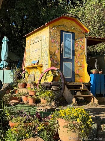 Darl / darli / onlyfans.darli nude photo #20