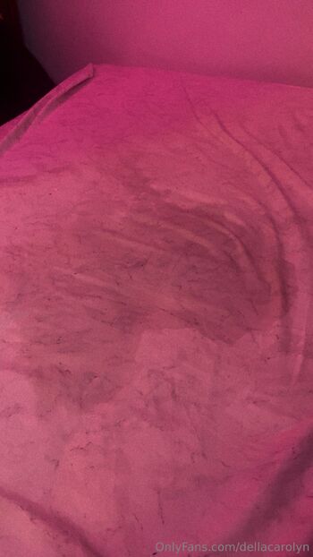 Dellacaroyl / dellacarolyn nude photo #20