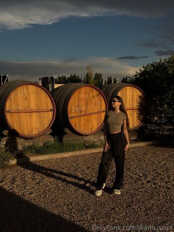 𝐃𝐈 / diana_seyx / dianaseyx nude photo #20