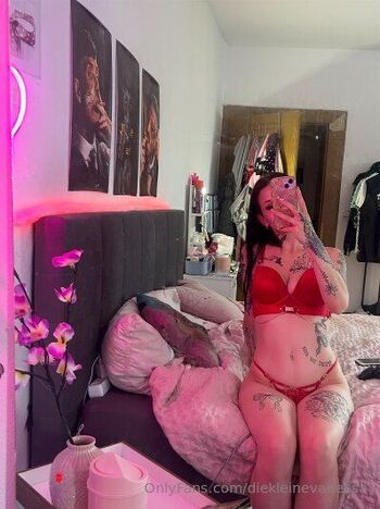 Vanessa / diekleinevanessa nude photo #36