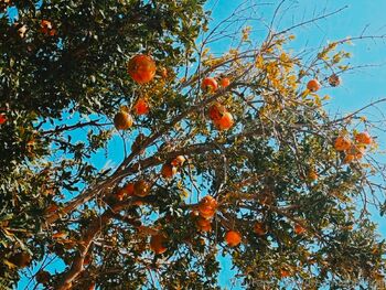 𝙶𝚊𝚝𝚝𝚒𝚗𝚊 𝙵𝚛𝚎 / dreamingattina / sweetgattina / gattinavoy nude photo #8