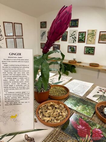 Dian / dreamlilo nude photo #5