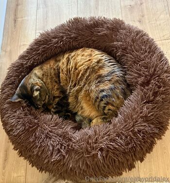 Ale / eatworldalex / eatwooorld nude photo #3