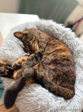 Ale / eatworldalex / eatwooorld nude photo #15