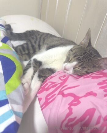 𝑩𝒆𝒍𝒍𝒂 𝑹𝒂𝒆 𝑨𝒎𝒂𝒕𝒆𝒖𝒓 𝑪𝒐𝒏𝒕𝒐𝒓𝒕𝒊𝒐𝒏𝒊𝒔𝒕 / elasticbella nude photo #1