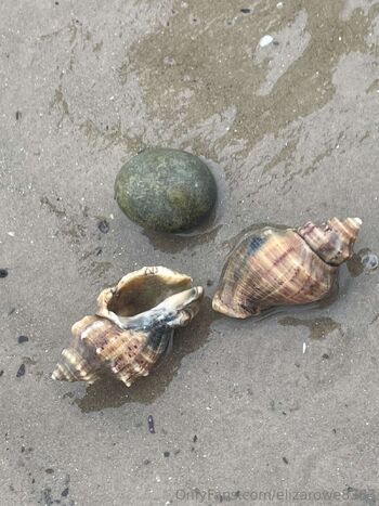 Eliza Row / elizarowe8383 nude photo #3