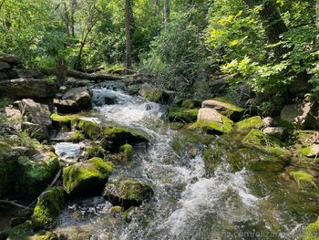 Eliza Row / elizarowe8383 nude photo #17