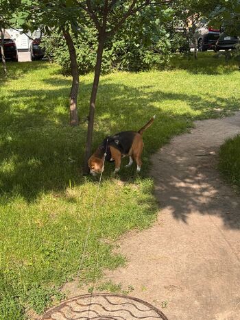 Ellie Bunny / ellie69bunny nude photo #13