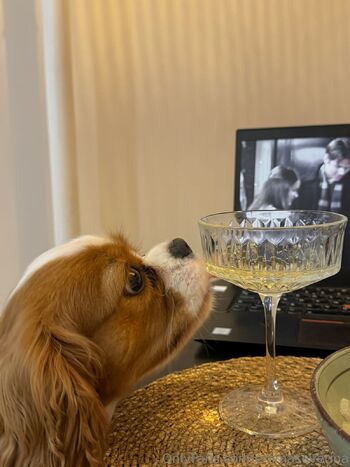 Emma Severina / emmaseverina nude photo #20