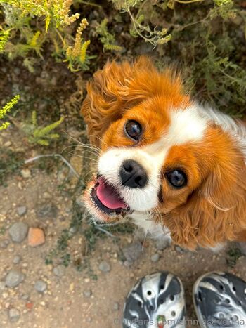 Emma Severina / emmaseverina nude photo #33