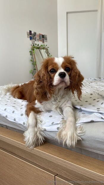 Emma Severina / emmaseverina nude photo #36