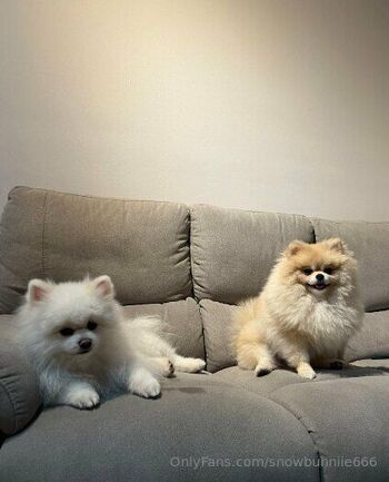 Emma / emmiis8 nude photo #12