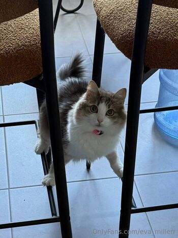 Eva Miller / eva_millerr nude photo #17