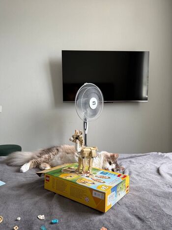 Eva Miller / eva_millerr nude photo #26