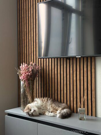 Eva Miller / eva_millerr nude photo #32