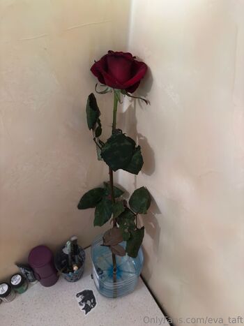 EvA / eva_taft nude photo #7