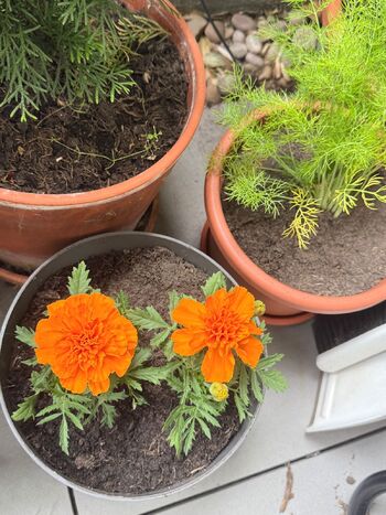 Evelyn White / evelynwhite nude photo #15