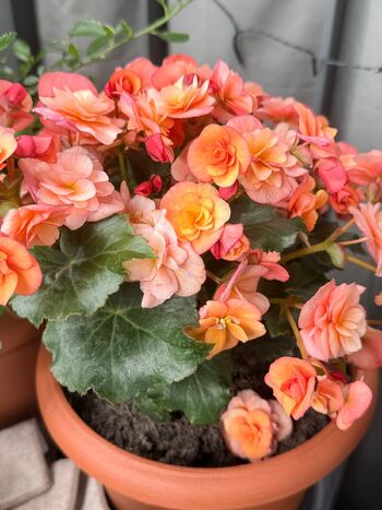 Evelyn White / evelynwhite nude photo #18