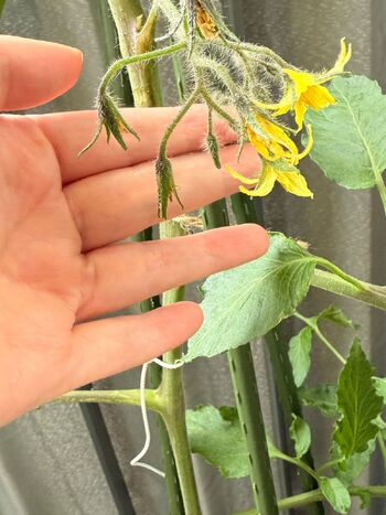 Evelyn White / evelynwhite nude photo #19