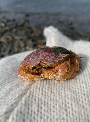 Evie / eviecutie nude photo #25