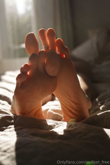 EviFeet Fre / evifeet_free nude photo #14