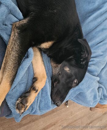 EyeOnFiir / eyeonfiire nude photo #11