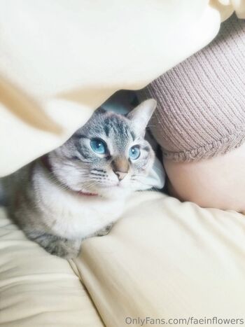 ｉｖｙ ちゃん ໒ / faeinflowers nude photo #10