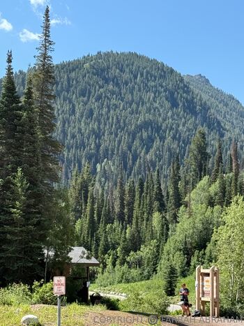 FARRAH ABRAHAM OFFICIA / farrah_abraham nude photo #17