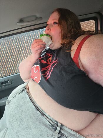 Hayley / fatgingerbunny nude photo #27