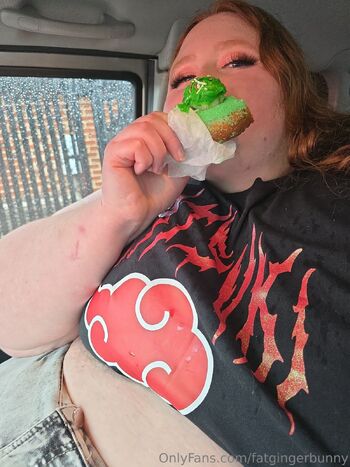 Hayley / fatgingerbunny nude photo #30