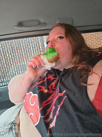 Hayley / fatgingerbunny nude photo #32