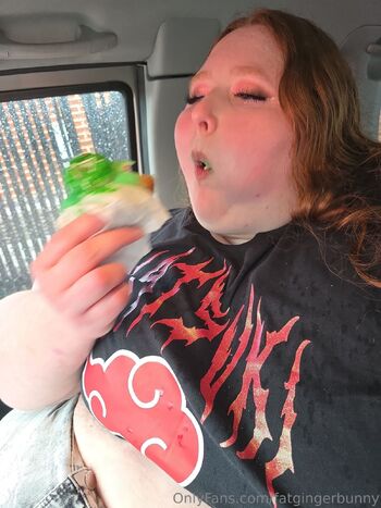 fatgingerbunny