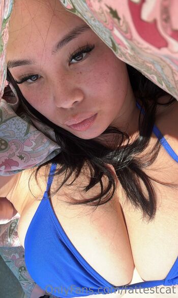 ฅﻌ / fattestcat nude photo #11