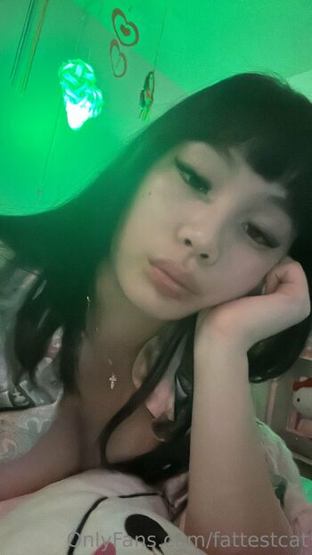 ฅﻌ / fattestcat nude photo #16