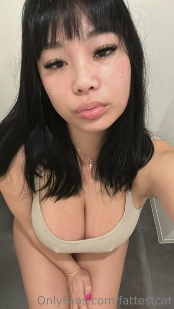 ฅﻌ / fattestcat nude photo #17