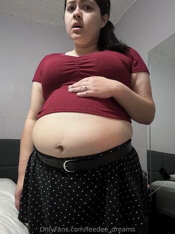 Samantha Pudg / feedee_dreams / feedee_dreams_2 nude photo #15