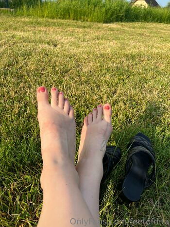 Feet_of_Dit / feetofdita nude photo #36